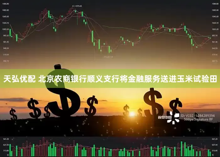 天弘优配 北京农商银行顺义支行将金融服务送进玉米试验田