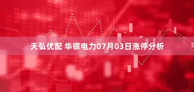 天弘优配 华银电力07月03日涨停分析
